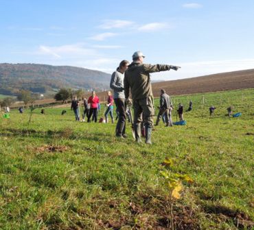 Leute auf einer Wiese auf der ein Wildkatzenkorridor angelegt wird, Foto: Ralf Göring